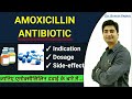 AMOXICILLIN ANTIBIOTIC | INDICATION | DOSAGE | SIDE-EFFECT | BRAND NAMES | Full detail in Hindi