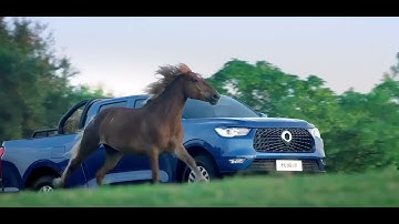 Pupkewitz Haval - GWM P Series Luxury Passenger 4x4 Double Cab safety features