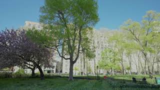 101 West 81St Street, Apt 202 New York, Ny