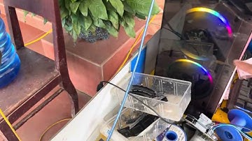 Sửa vang bd af-3000II bị sôi tiếng méo tiếng . Lh sửa 0979486089