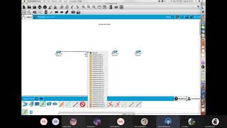 Mode Access and Mode Trunk