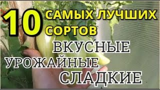 ЛУЧШИЕ СОРТА ТОМАТОВ Всегда завалят урожаем!!! Урожайные вкусные сладкие!!!! Лучшие урожайные томаты