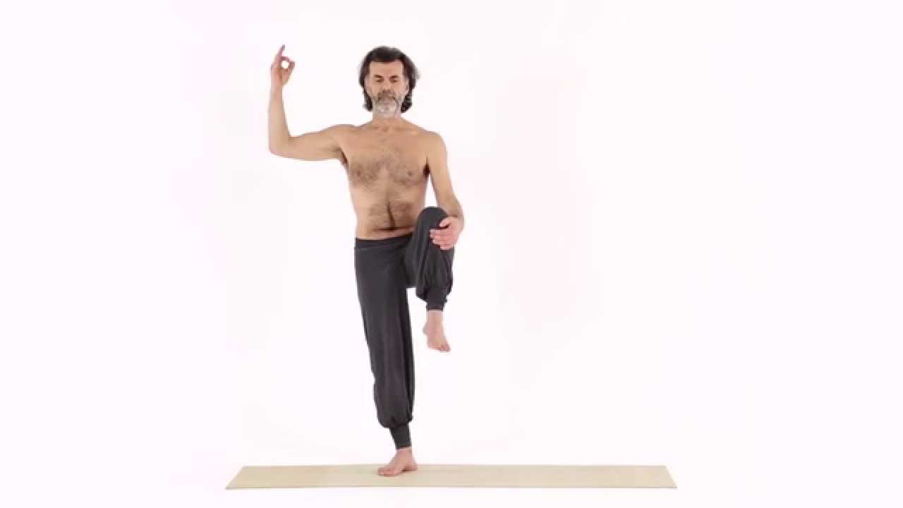 Albero, variazione 2 - Vriksa Asana video phone beyonce mp3