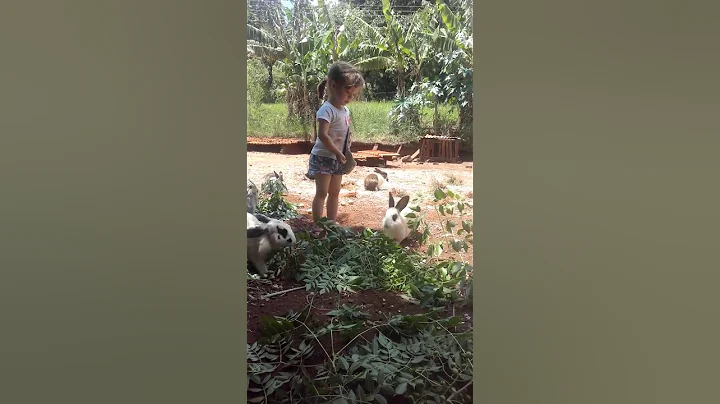 Lara Calixto  e os coelhinhos