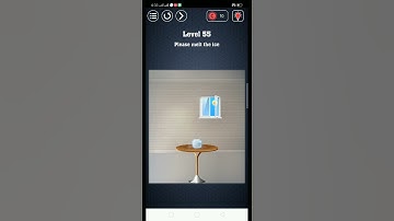 Brain Test - Have guts to pass it? Level 55 Walkthrough Solution Or Answer
