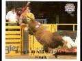 2016 Wests Best Bucking Stock Sale Sires  1