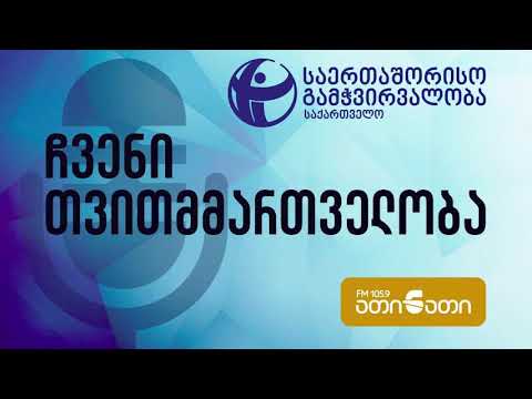 წინასაარჩევნო გარემოს შეფასება