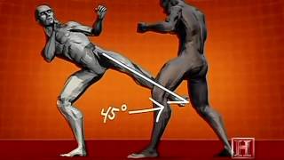 Human Weapon Pangration & Karate