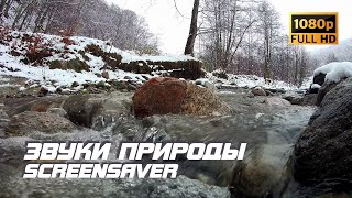 Живая Природа - Река | Зима | Звуки Природы | Звуки Реки | Шум Руки | Релаксация | Заставка Для Тв