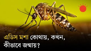 Qanday qilib oriq odamlarni kattalar sikishadi Ogizda xoroz va eshak