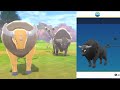 Tauros from Paldea in Pokémon Sword ⚔️ Shield 🛡️ (MOD)