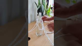 DIY - macmare bottle hanger for plants | macrame plant hanger   #shorts