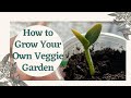 How To Grow Your Own Vegetable Indoors | FOR BEGINNERS