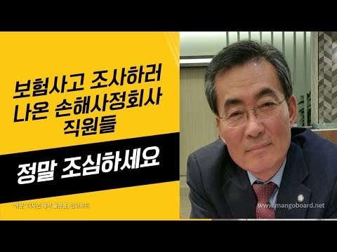 자동차보험회사순위