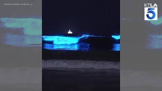 Bodyboarders ride the bioluminescent waves in Southern California