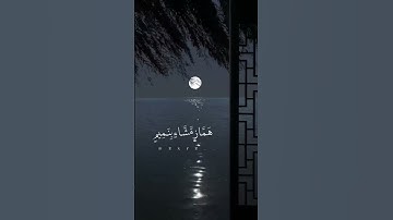 القرآن الكريم سورة القلم ( فلا تطع المكذبين)