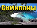 #Втренде Симиланские острова. Лучшая экскурсия на Пхукете  #phuket #Тайланд #Симиланы