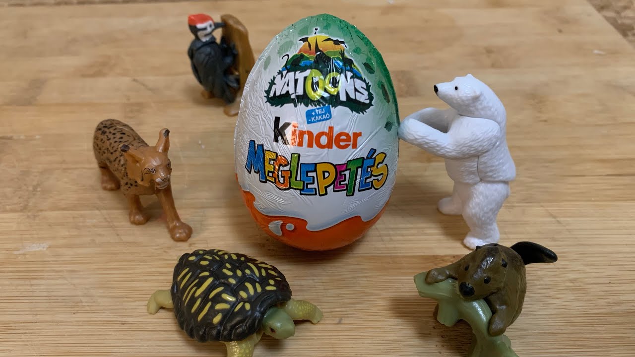 Opening a KINDER surprise EGG NATOONS wild animals 卵 キンダーエッグ 野生動物