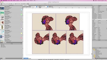 tilia Phoenix for Commercial Print