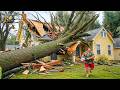 Idiots With Chainsaws: Tree Cutting Fails | Extreme Dangerous Trees Falling On Houses #8