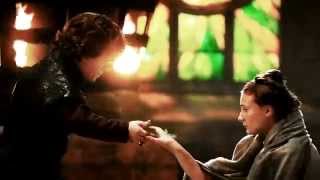 Sansa/Tyrion | the disgraced daughter & the demon monkey