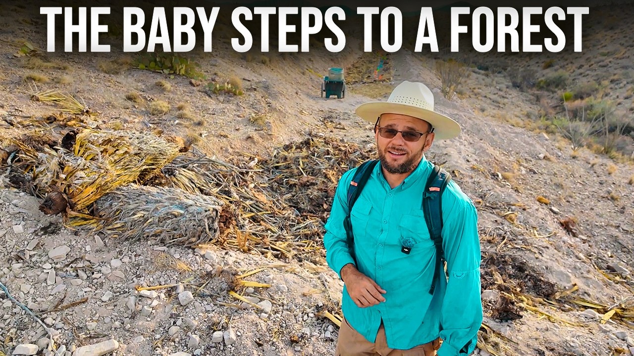 Building a Desert Forest: Progress Over Perfection