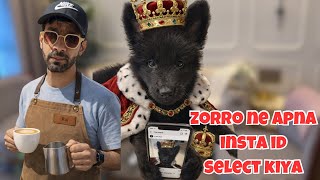 Sahill Made Coffee Zorro Made The Decision Sahill Uppal Aakriti Atreja