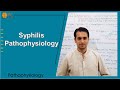 Syphilis Pathophysiology