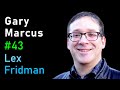 Gary Marcus: Toward a Hybrid of Deep Learning and Symbolic AI | Lex Fridman Podcast #43