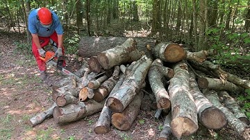 Darn Tree Service Wood!  #61