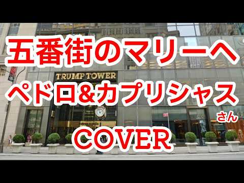 五番街のマリーへ(ペドロ&カプリシャス) cover  歌ってみた　歌詞付　キー－4  髙橋真梨子