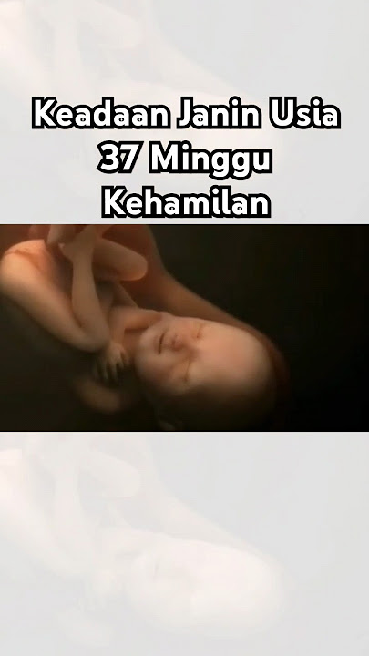 Keadaan Janin Usia 37 Minggu Kehamilan