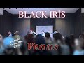 BLACK IRIS  『Venus』 リリースイベント  ららぽーと立川立飛  2023.08.19 (sat)