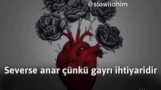 İnsan Sevdigini Anar