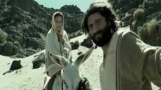 Little Donkey with lyrics and scenes from The Nativity