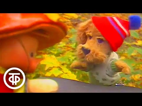 Спокойной ночи, малыши! Грибники (1990)