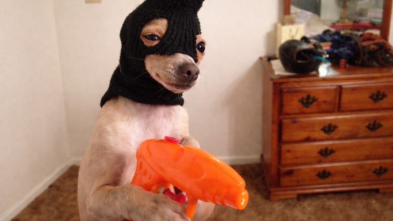 memes or your life?  | 17