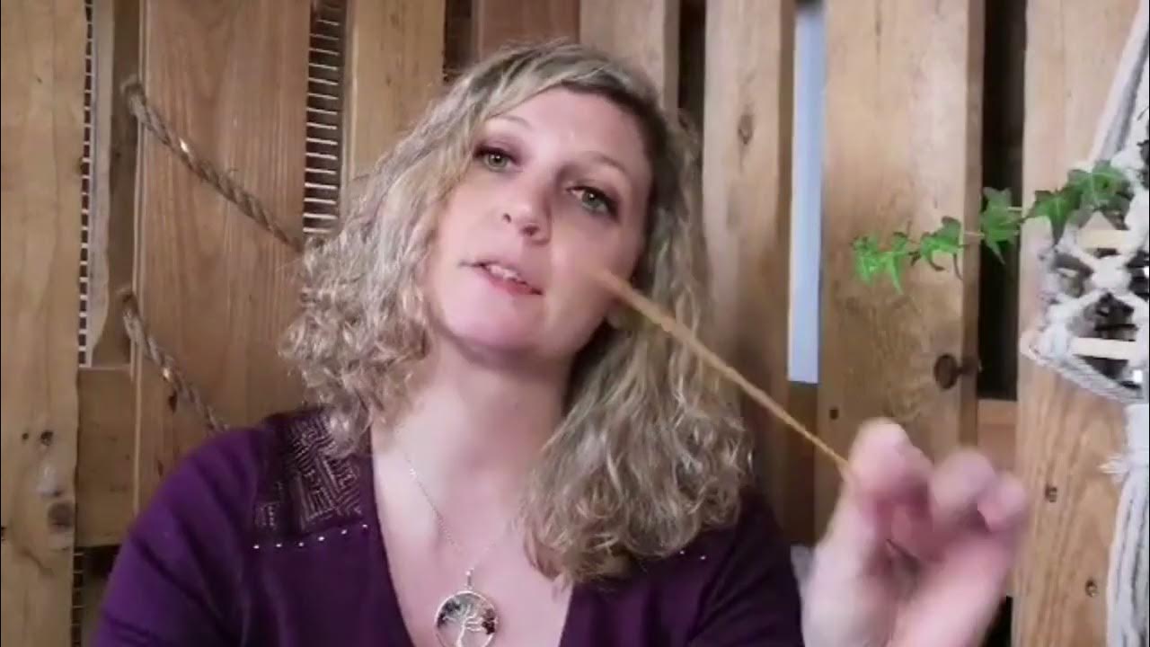 La coquille d'ormeau ! Comment l'utiliser ? YouTube