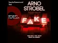 Arno Strobel - Fake - Wer soll dir jetzt noch glauben?