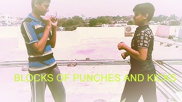 BASIC BLOCKS OF PUNCHES AND KICKS|karate technique