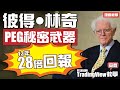 【獨家教學】13年28倍回報！彼得·林奇「PEG秘密武器」🗡️免費tradingview網上使用教學🤤