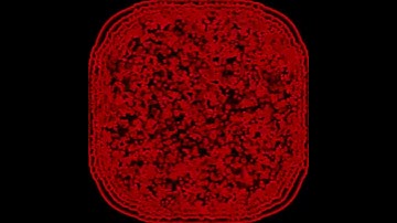 PROCESSING - 2D REACTION DIFFUSION UNSTABLE SYSTEM