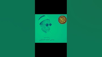 الشيخ الفاضل يحيى بن أحمد الحليلي سورة المسد @abwshayifjaber7