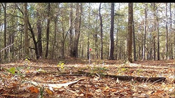 1/2 pound of Southern Thunder