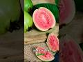 Air Layering Guava Trees: Get Free Plants!