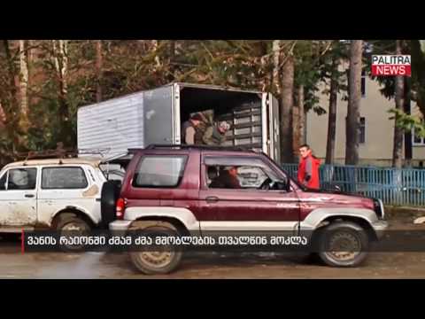 ვანის რაიონში ძმამ ძმა მშობლების თვალწინ მოკლა