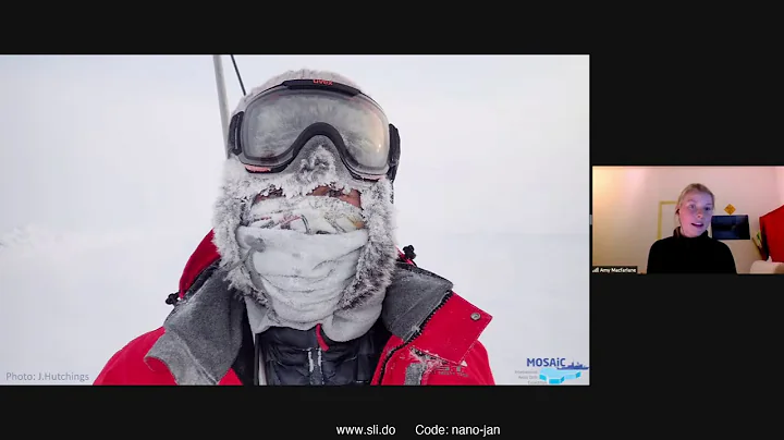 nanoTalk: A look at snow on sea ice by Amy Macfarl...