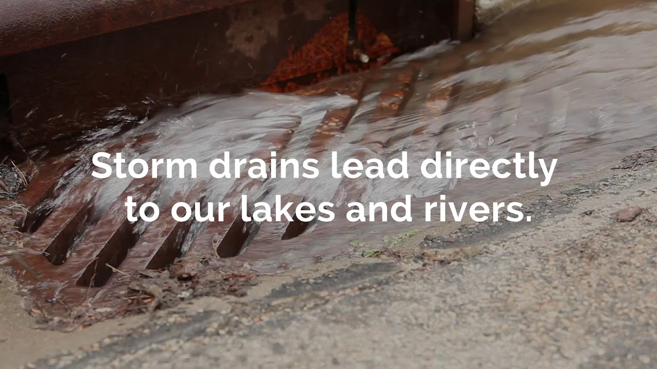 Storm Drains Lead Directly To Our Lakes And Rivers YouTube