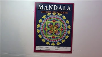 Flip: Mandala by Sachin Sachdeva Color by Number Books (adult coloring)