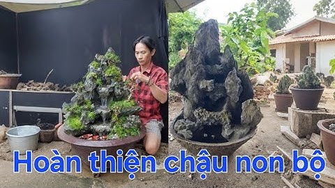 Hoàn thiện chậu non bộ thác nước nuôi cá koi 